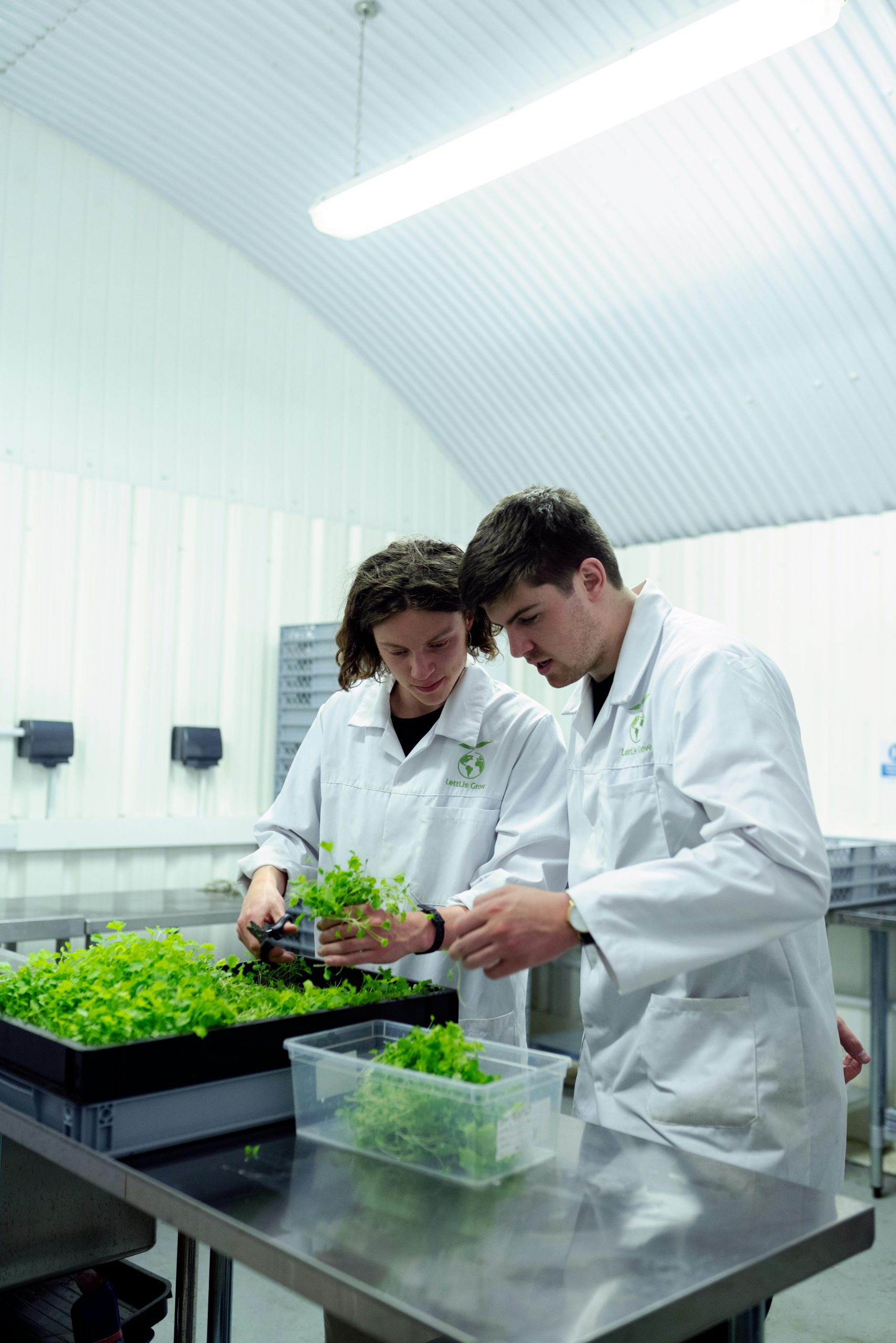 Two scientists working with plants in a controlled indoor farming laboratory setting.